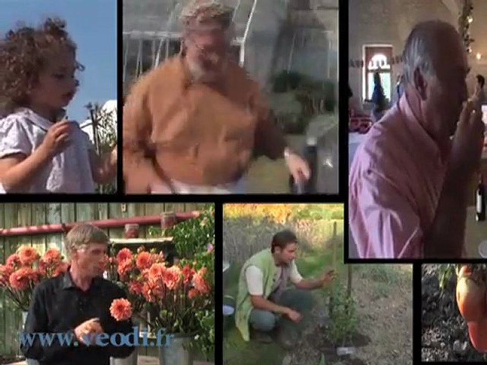 Version iPhone iPad - VEODI - Créateur de contenu vidéo et sonore, films institutionnels et publicitaires.