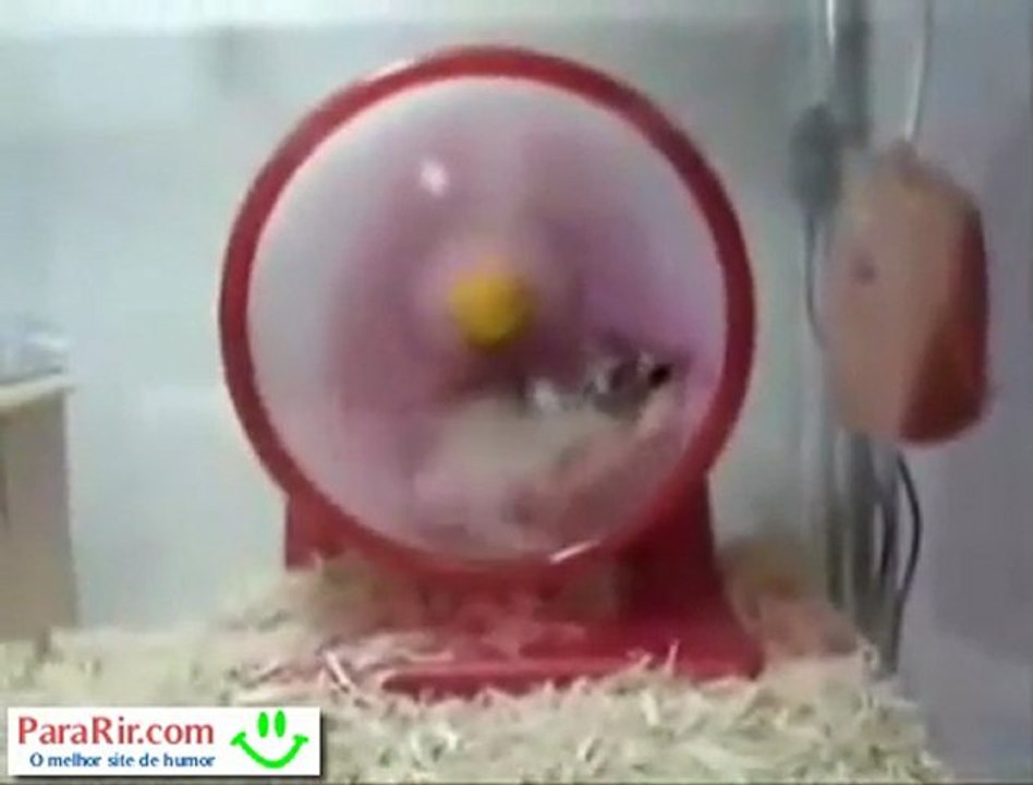 Rato aceleras
