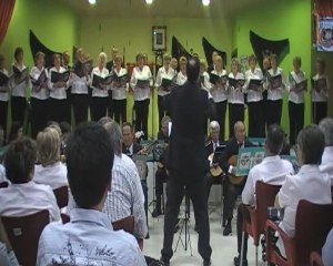 Alma corazón y vida