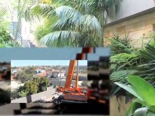 Gardeners Marrickville Tender Touch Landscaping NSW