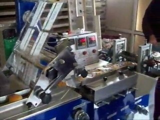 BAYSAN MAKINA ROL EKMEK PAKETLEME ( FLOWPACK )