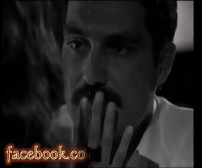 tripkolic- Bu şehir sana hasret yar