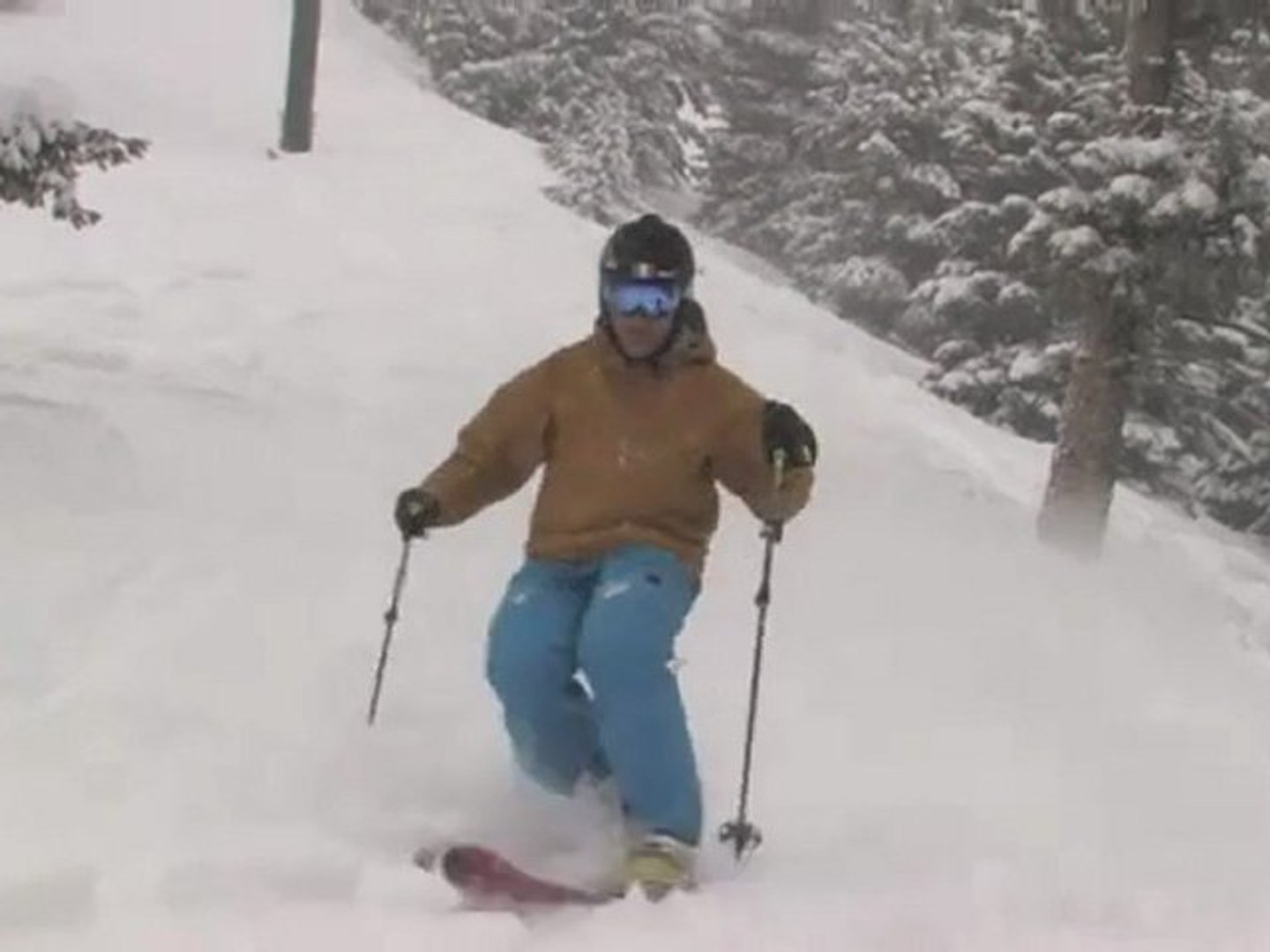 St. Patrick's Day Powder