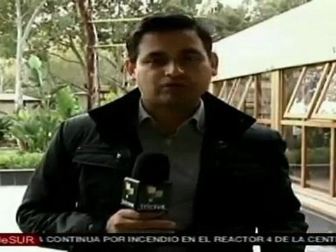 Fuerzas leales continúan avanzando en el este del país