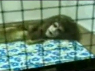 Ser Extraño: Esfinge (Strange Being: Sphynx)