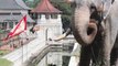 Tooth Temple - Great Attractions (Kandy, Sri Lanka)