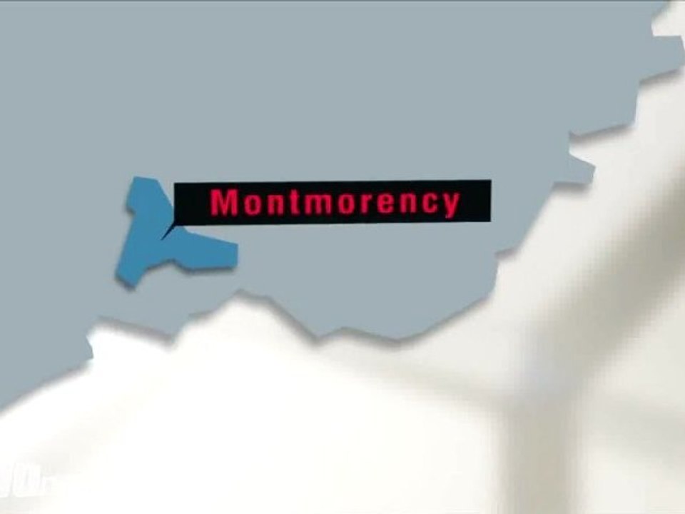 Cantonales 2011 : Montmorency