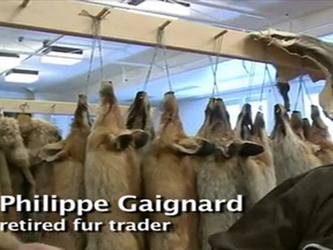 Swiss hunters take fox furs to market in Valais