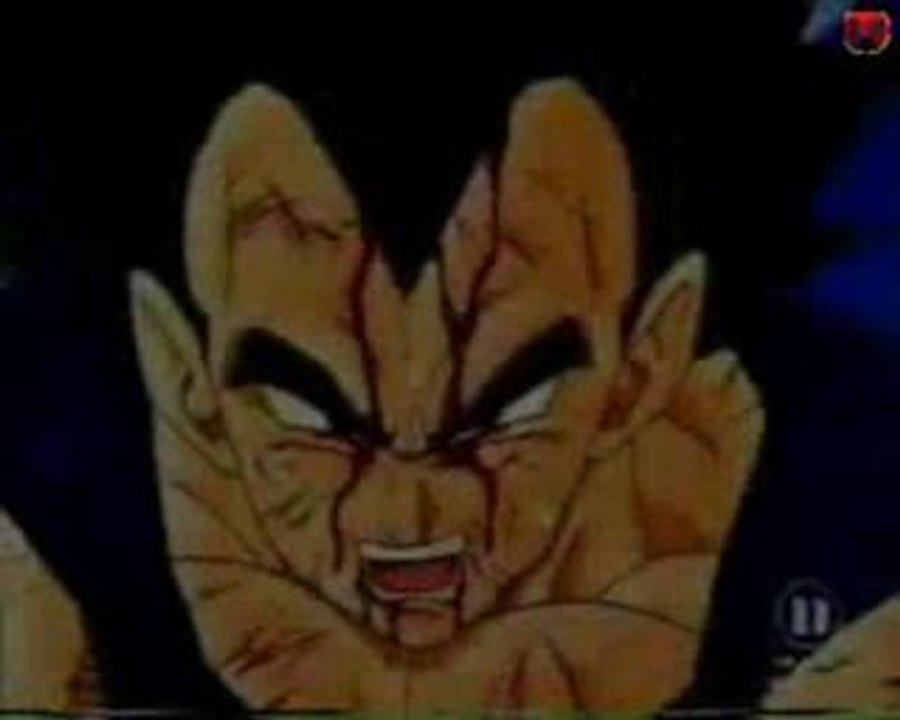 Dragonball Z Musikvideo Vegeta Special 1