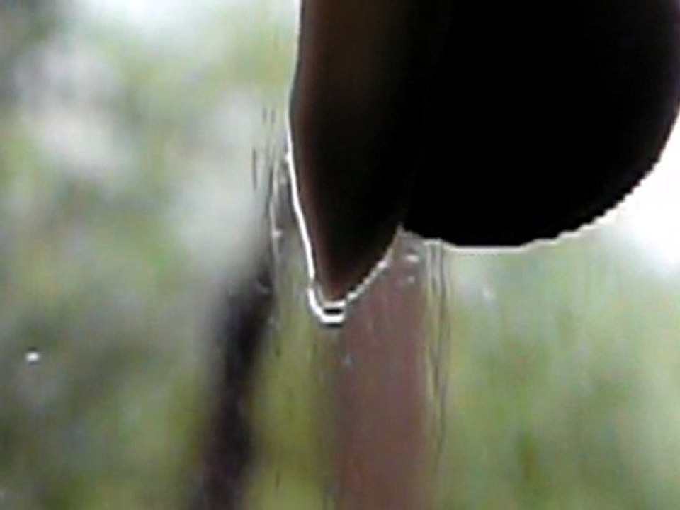 swing low mp4