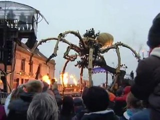 Calaisis TV: Une araignée géante investit le Channel