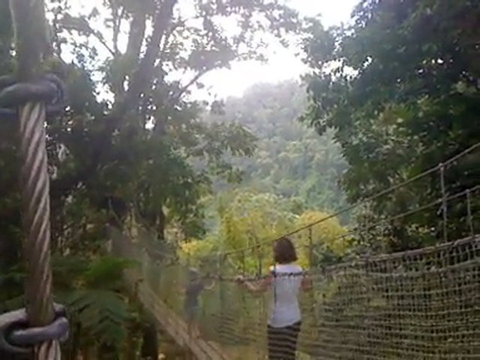 Balata1