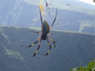 2011_03_17 La boucle des Margosiers avec Pascal, Lydie et ma chérie -Écran
