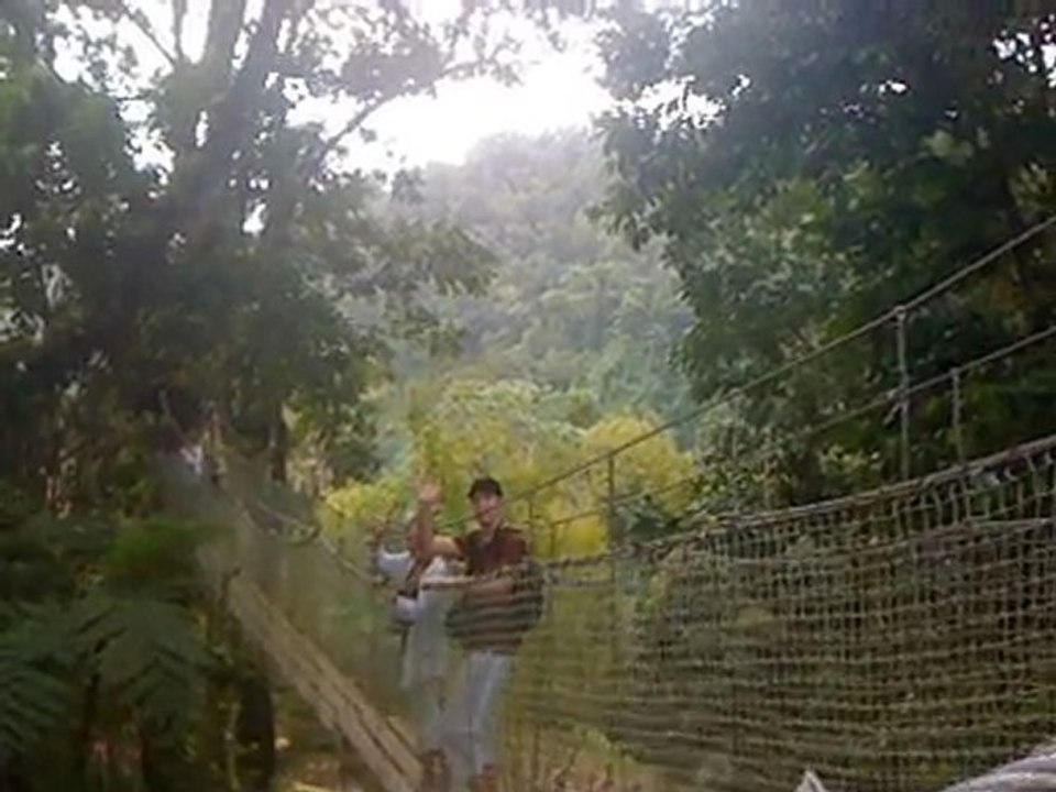 Balata2