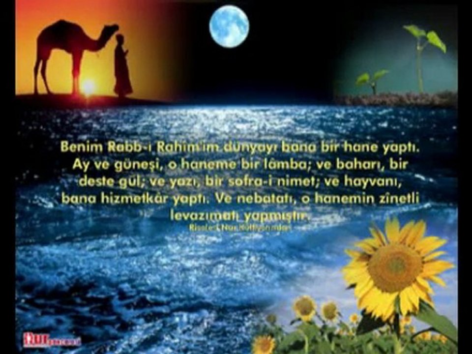EVREN ÖZCAN