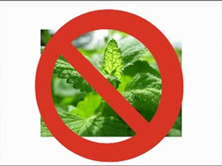 L'Union européenne et les multinationales pharmaceutiques INTERDISENT la Planète Terre