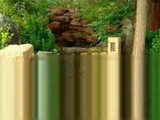 Chute pour piscine par aqua-deco.ca