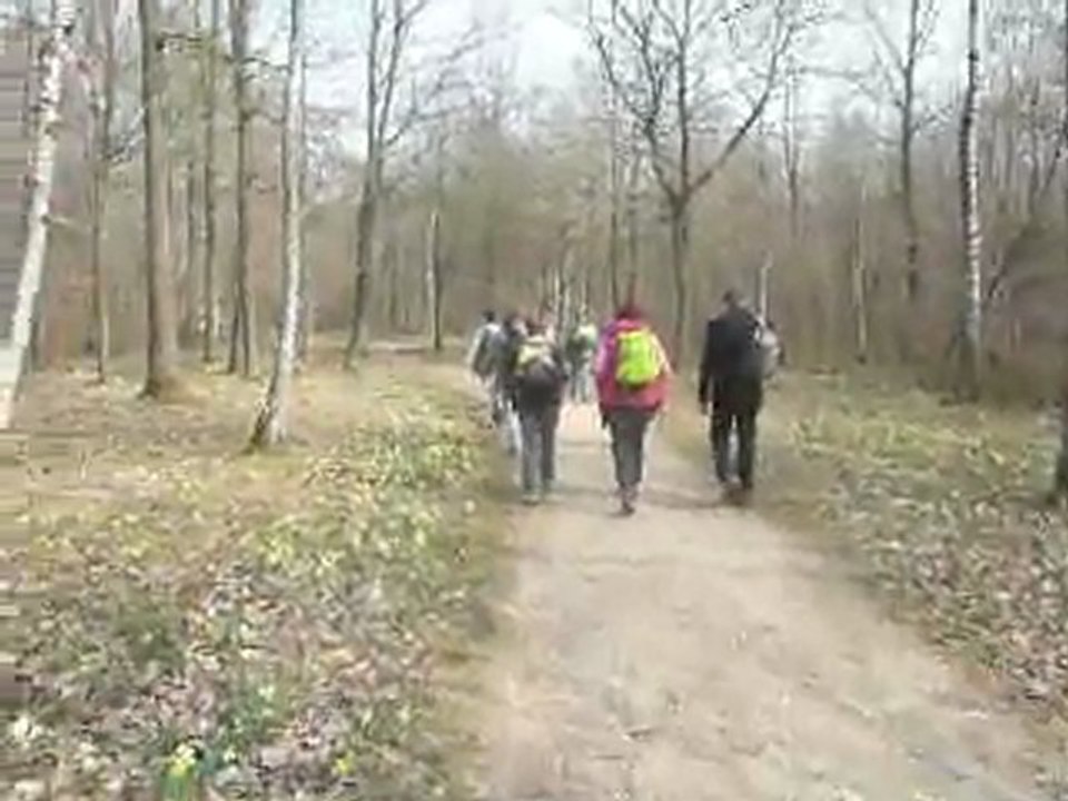 RANDO JONQUILLES 16 03 11