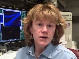 Pediatric Brain Tumor Research