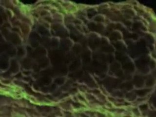 Code For Life - Chapter 2