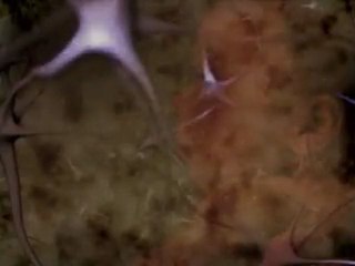 Code For Life - Chapter 4