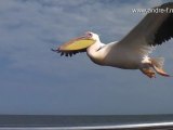 Swakopmund & Walvis Bay (HD)