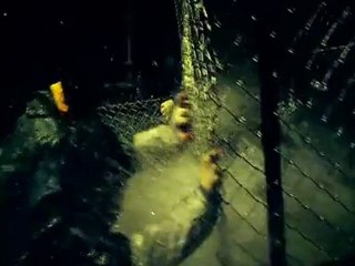 해운대  - Tidal Wave / Tsunami /موجة التسونامي   1-5