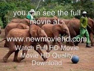 Born to be Wild 3D Watch Movie