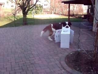 Destructor est de retour