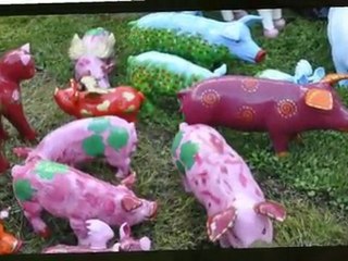 Mon jardin de couleurs