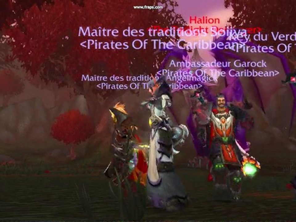 Wow dance devant Hallion