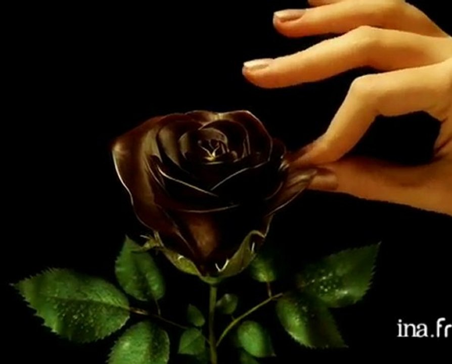 Entendre ou réentendre Anne Brissier : démo voix (Pub tv Poulain-version courte)