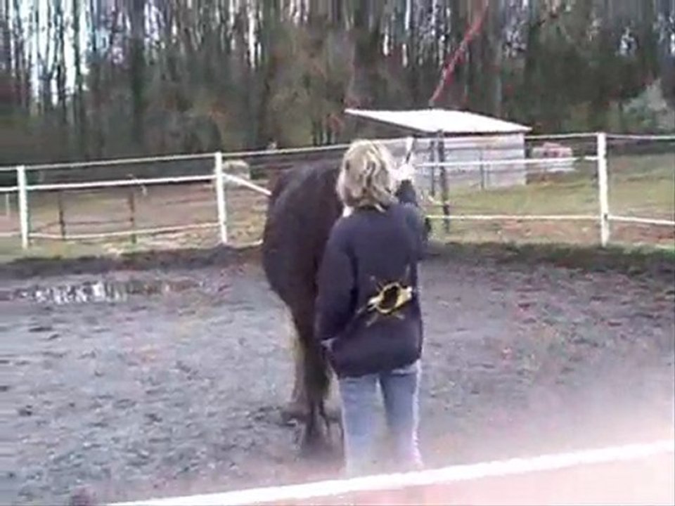 Defis ethologiques n°3