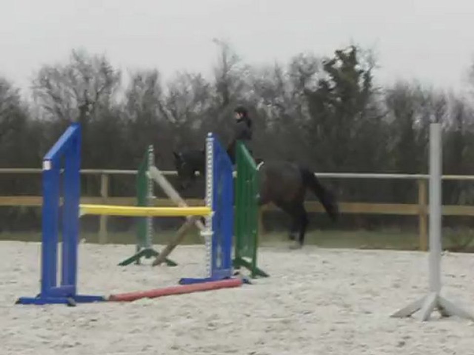 Swing