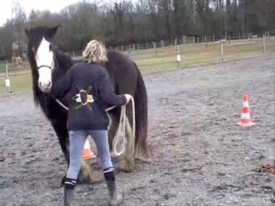 Defis ethologiques n°4