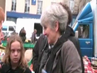 Fabienne Senaux - Cantonales 2011