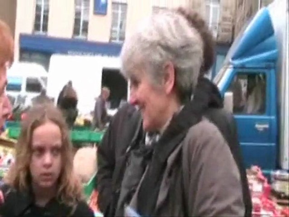 Fabienne Senaux - Cantonales 2011