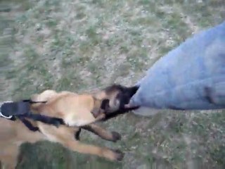 Furious de la roche de l'empereur  3mois