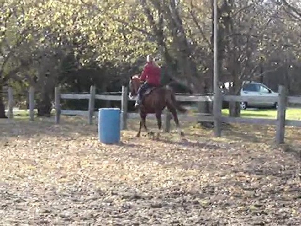 Moi & Brownee & Easy Magik Class