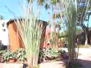 Casa Cor São Paulo: paisagistas renomados homenageiam Burle Marx. Inspire-se!