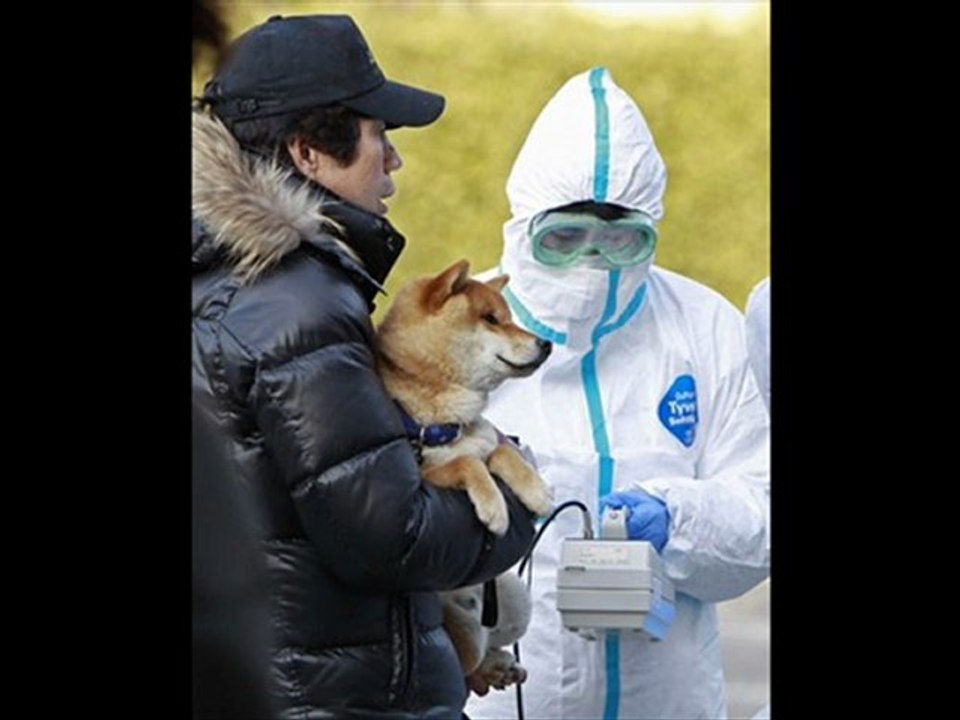 Aidons les animaux du Japon