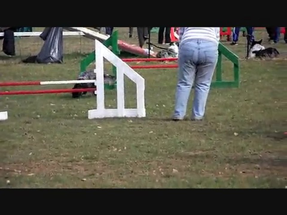 Bec à TRESSES 13 mars 2011  canis club pessacais illacais