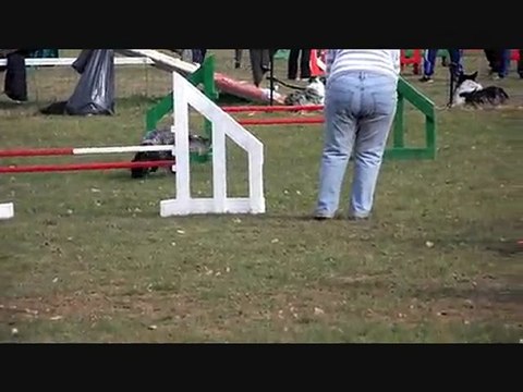 Bec à TRESSES 13 mars 2011 canis club pessacais illacais