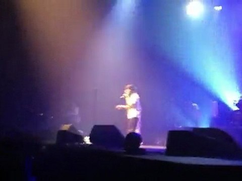 Concert Danakil - Zenith de Paris - 18.03.11 : Les champs de roses