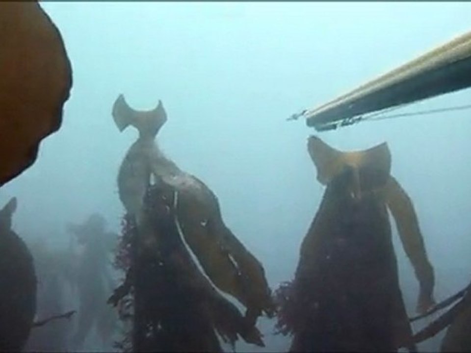 Test 3 TZ10 - Pêche sous marine 18 mars - gros loupé