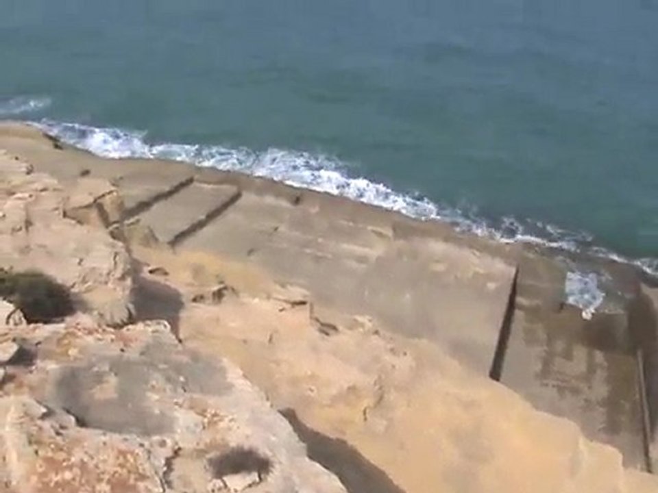 نجيب الضاوي  المصري اكبر شاعر عربي, الشادلي الساحلي بن مبروك البيت الشعري