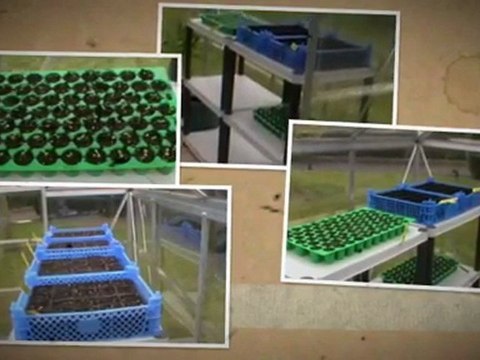 EXTRAIT DES IMAGES DU POTAGER / JARDIN 2010/2011