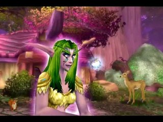 WoW : Code Monkey par Mike Spiff Booth