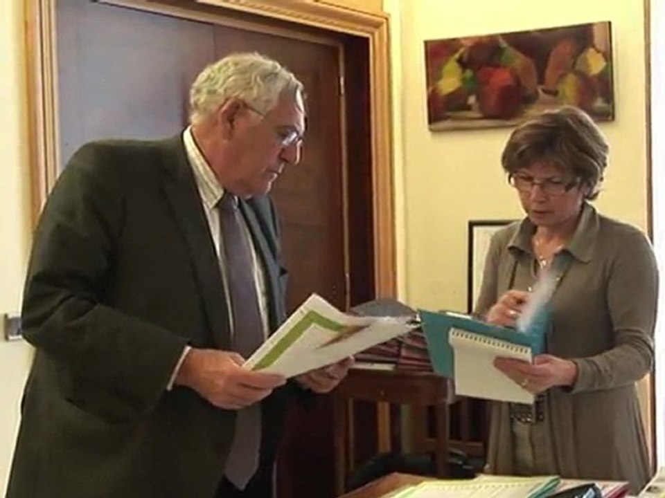 Elections cantonales : à quoi sert un Conseil général ?