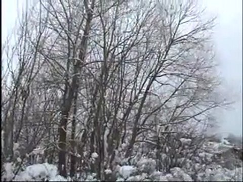 Bu Gün Ben bir Güzel Gördüm